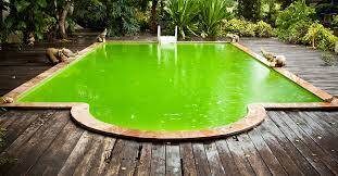 Une&#x20;eau&#x20;verte&#x20;dans&#x20;votre&#x20;piscine&#x20;&#x3F;&#x20;quelles&#x20;causes&#x20;&#x3F;&#x20;que&#x20;faire&#x20;&#x3F;