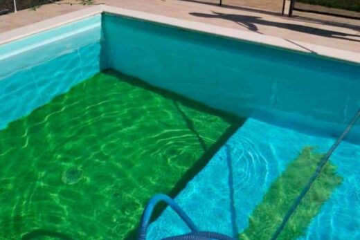 Causes&#x20;et&#x20;cons&#x00E9;quences&#x20;de&#x20;pr&#x00E9;sence&#x20;d&amp;&#x23;8217&#x3B;algues&#x20;dans&#x20;votre&#x20;piscine