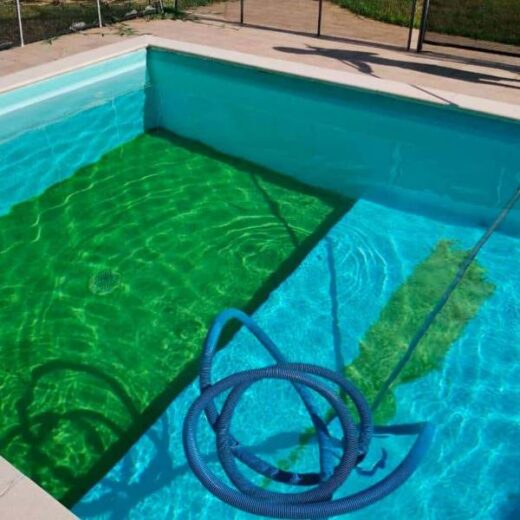 Causes&#x20;et&#x20;cons&#x00E9;quences&#x20;de&#x20;pr&#x00E9;sence&#x20;d&amp;&#x23;8217&#x3B;algues&#x20;dans&#x20;votre&#x20;piscine